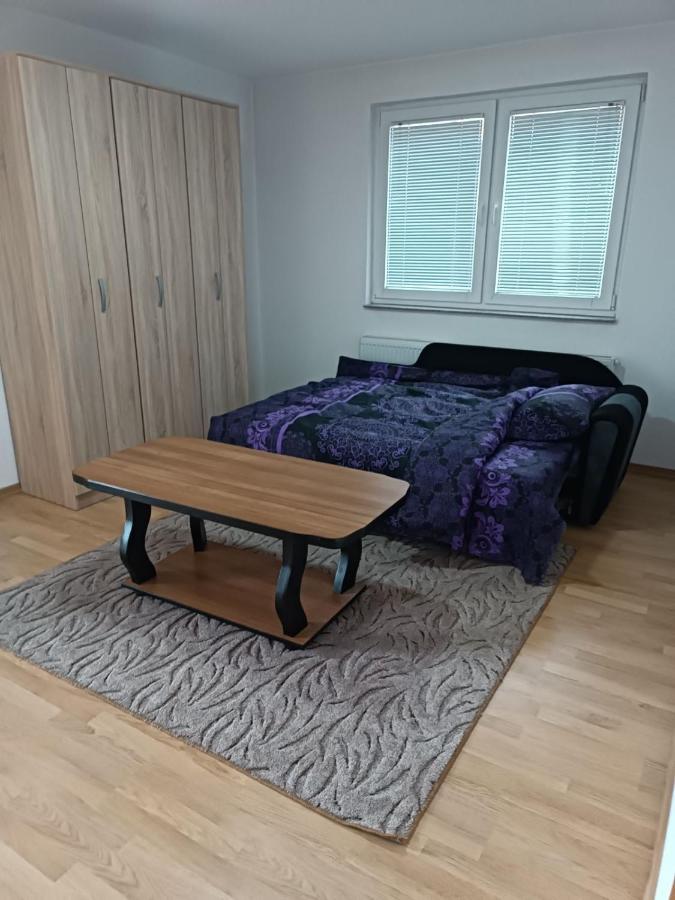 ホテル 2Bdr Apt With Balcony With View- Free Parking サラエヴォ エクステリア 写真